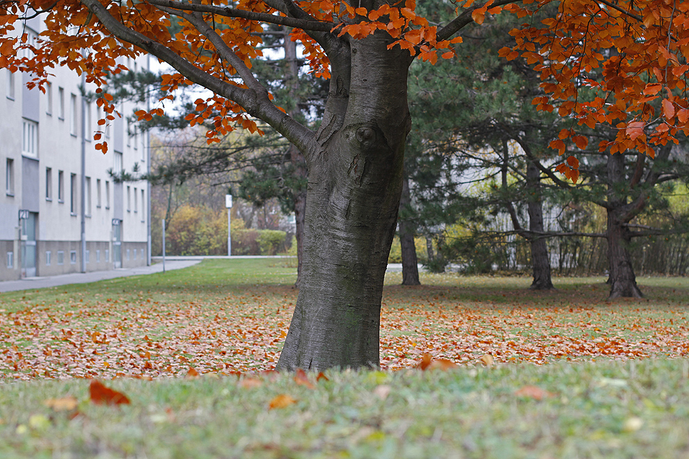 Foto von Mittwoch, 21.11.2012