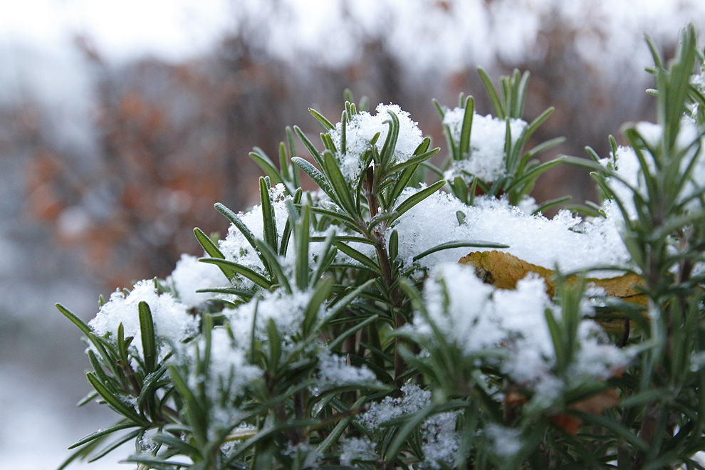 Foto von Dienstag, 11.12.2012