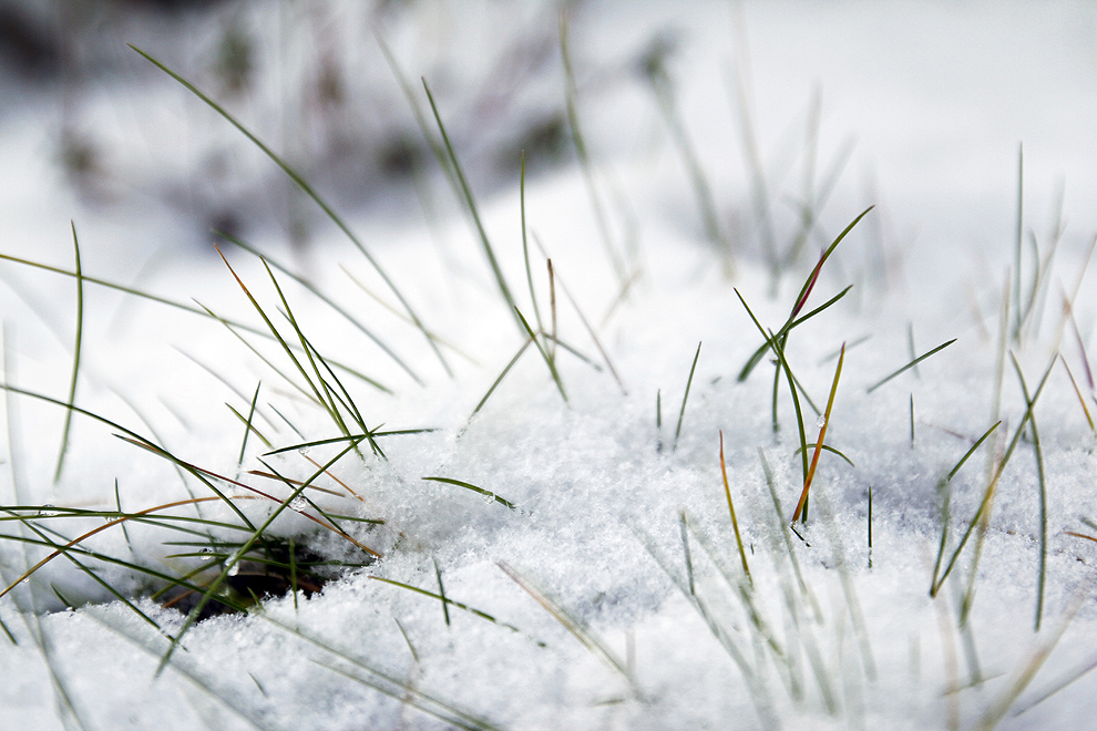 Foto von Dienstag, 11.12.2012