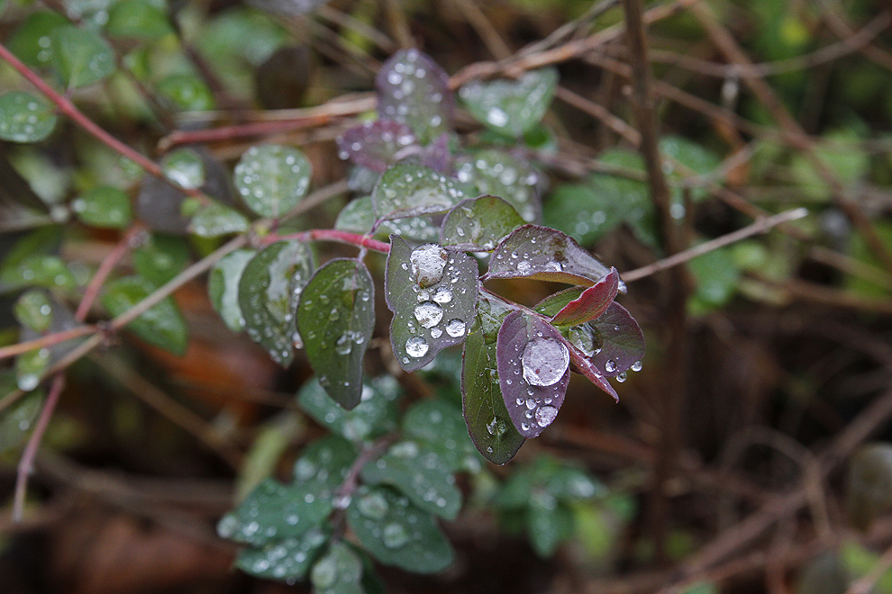 Foto von Mittwoch, 19.12.2012