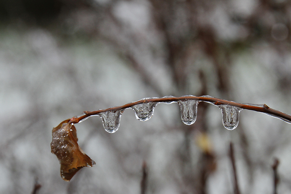 Foto von Sonntag, 23.12.2012