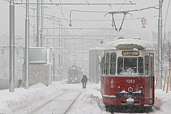 Foto von Donnerstag, 17.01.2013