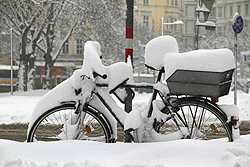 Foto von Donnerstag, 17.01.2013