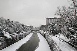 Foto von Donnerstag, 17.01.2013