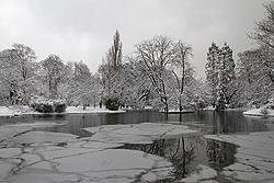 Foto von Donnerstag, 17.01.2013