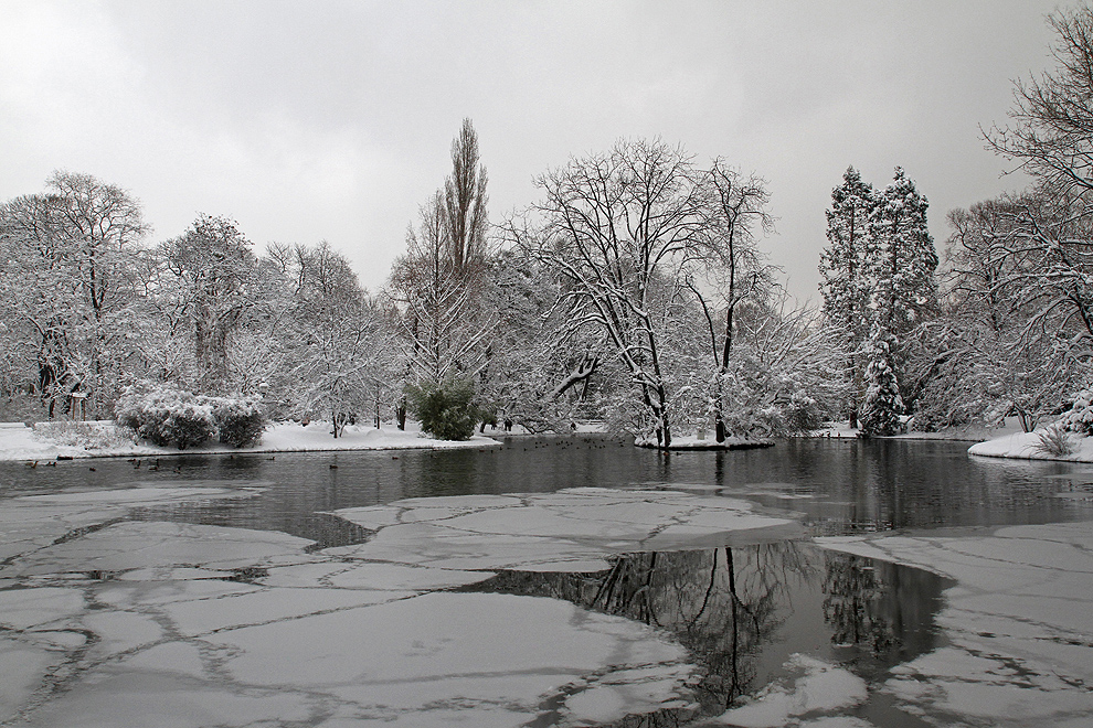 Foto von Donnerstag, 17.01.2013