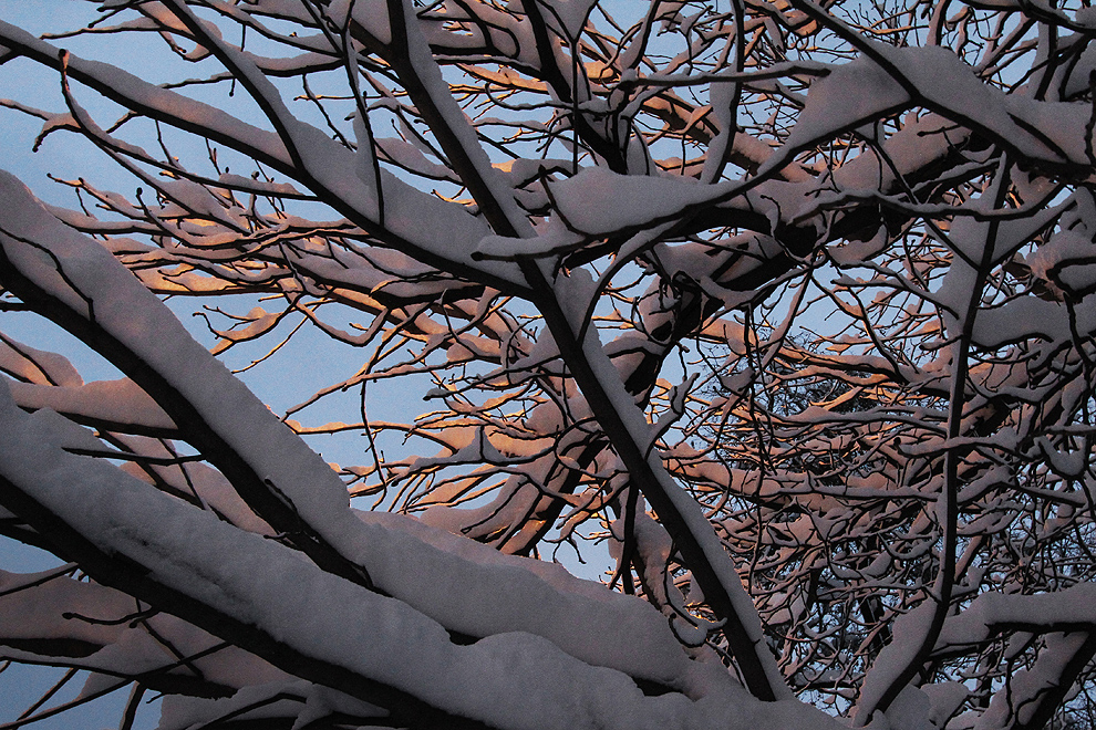 Foto von Donnerstag, 17.01.2013