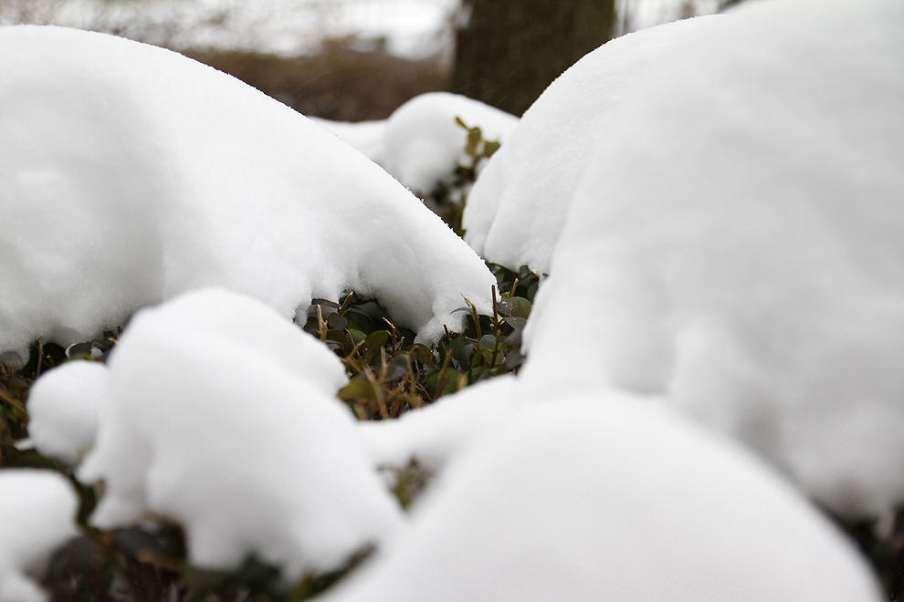 Foto von Freitag, 18.01.2013