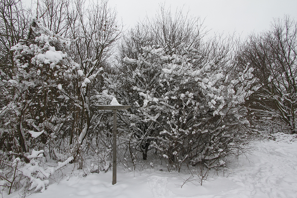 Foto von Samstag, 19.01.2013