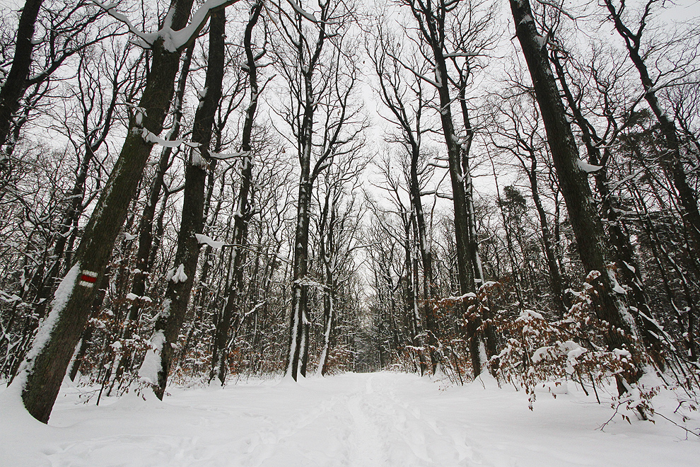 Foto von Samstag, 19.01.2013