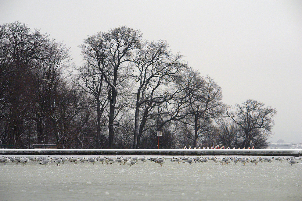 Foto von Dienstag, 12.02.2013