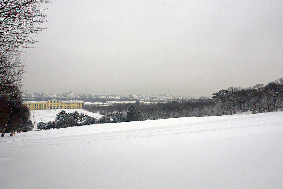 Foto von Dienstag, 12.02.2013