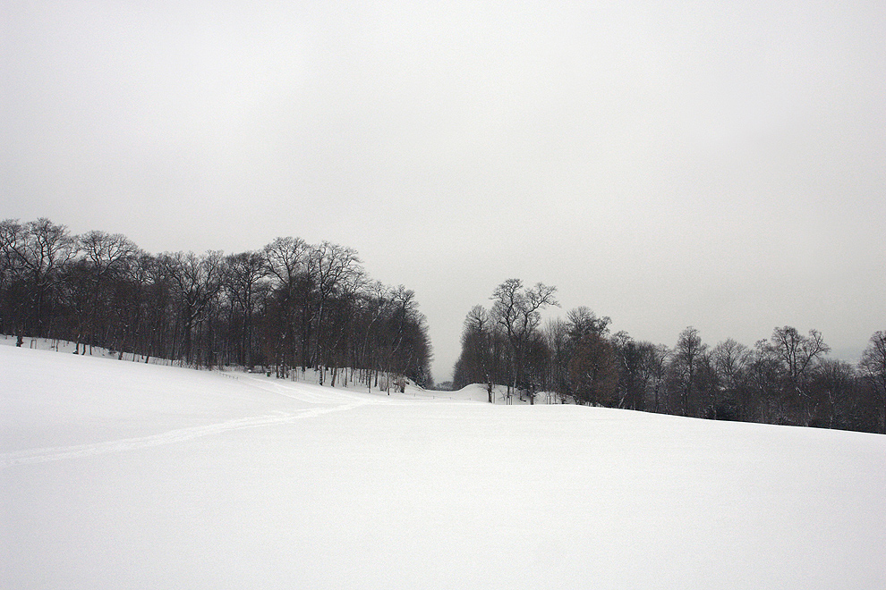 Foto von Dienstag, 12.02.2013