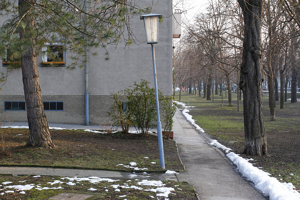 Foto von Donnerstag, 28.02.2013