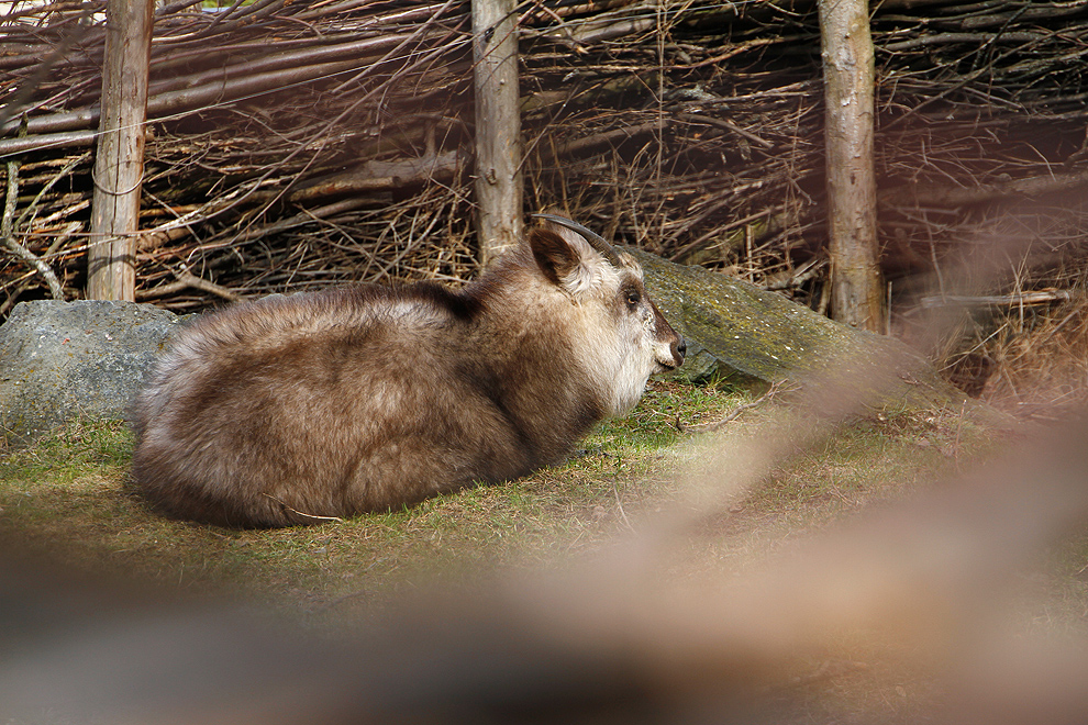 Foto von Mittwoch, 20.03.2013