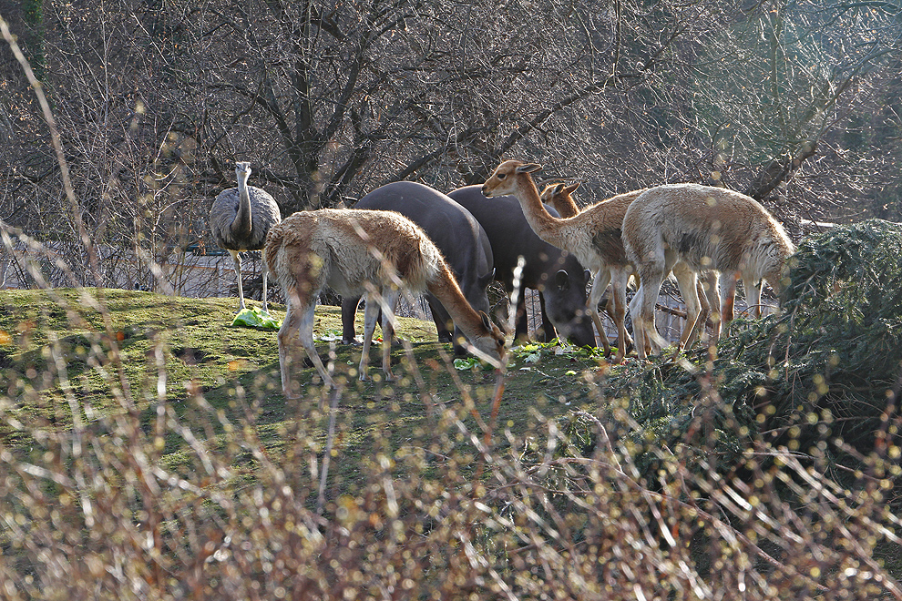 Foto von Mittwoch, 20.03.2013