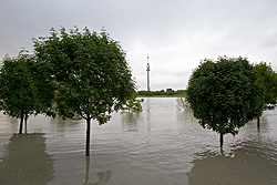 Foto von Dienstag, 04.06.2013