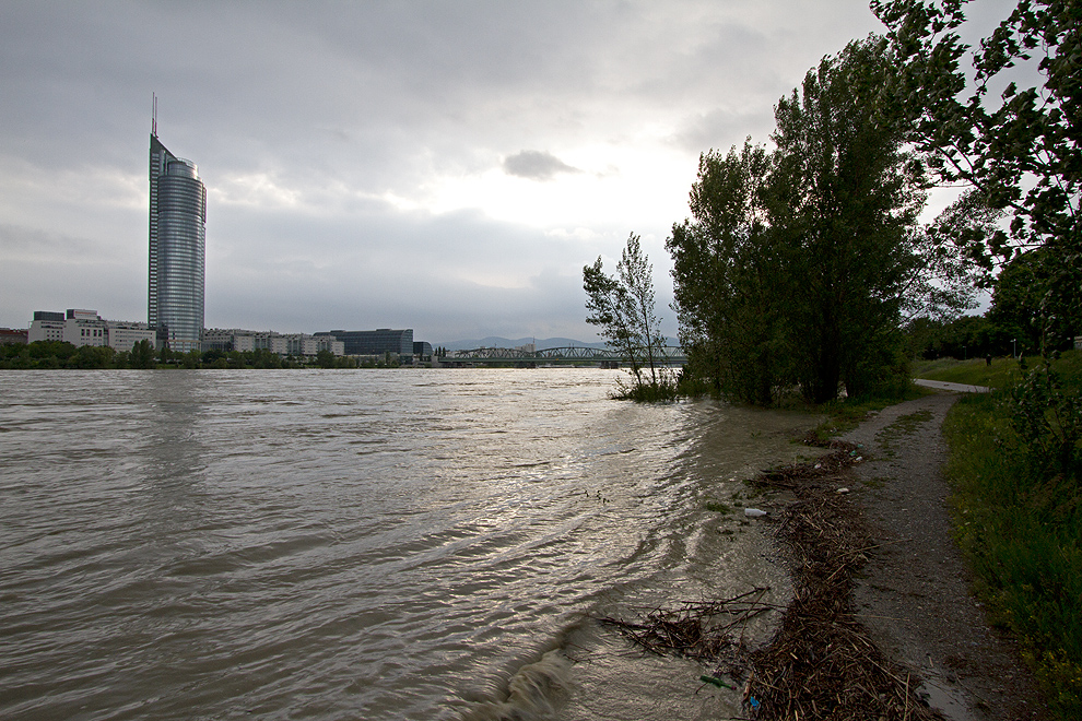 Foto von Dienstag, 04.06.2013