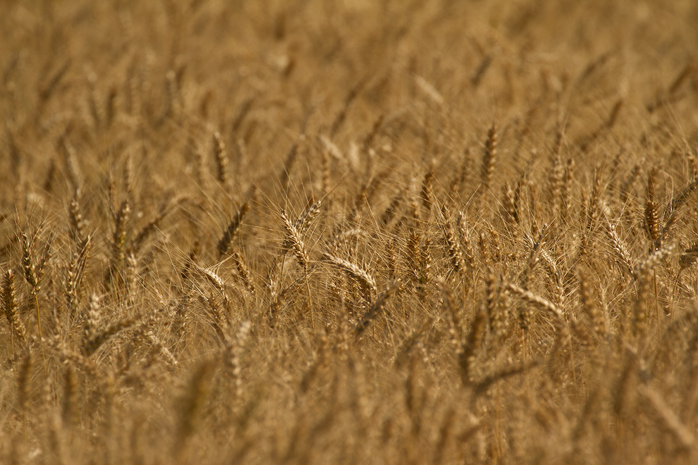 Foto von Dienstag, 16.07.2013