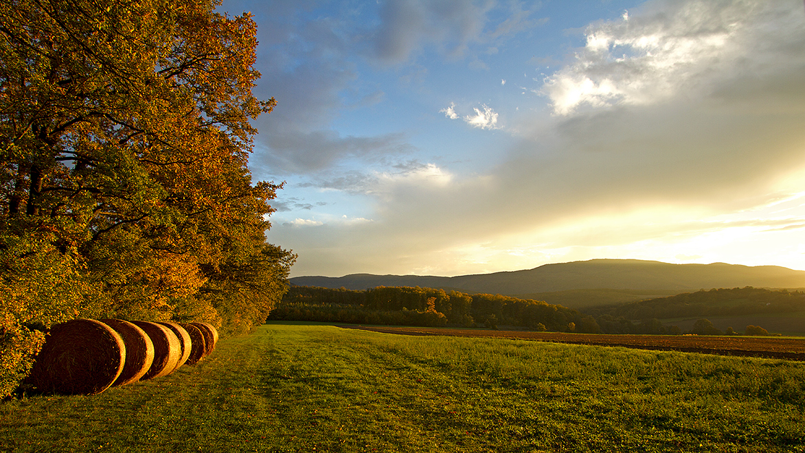 Foto von Samstag, 12.10.2013