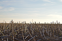 Foto von Sonntag, 13.10.2013